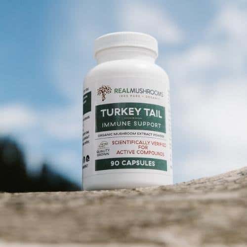 turkey tail immune support supplement bottle