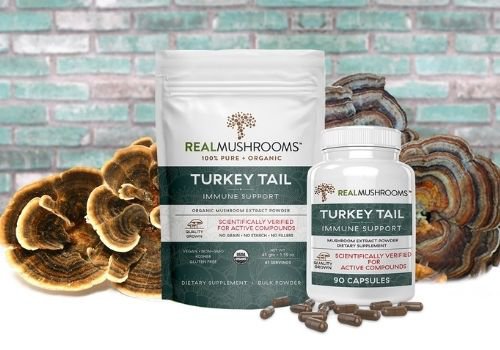 Turkey Tail Supplement