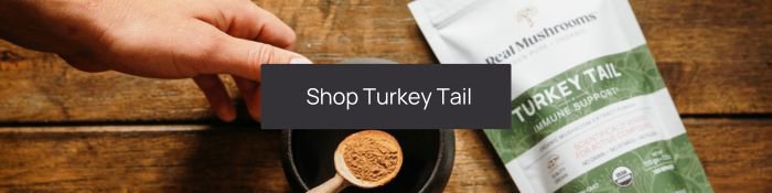 shop turkey tail mushroom