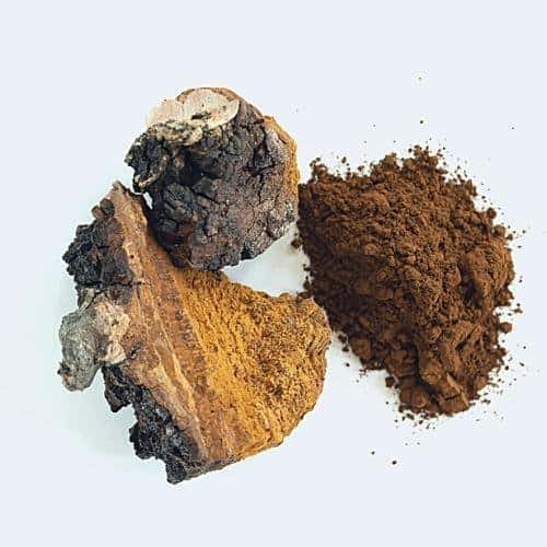 Chaga for dogs