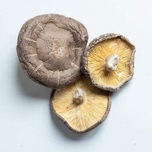 Shiitake mushrooms for dogs