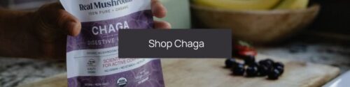 Person holding a package of medicinal chaga mushroom supplements with a "shop chaga" call-to-action button overlay.