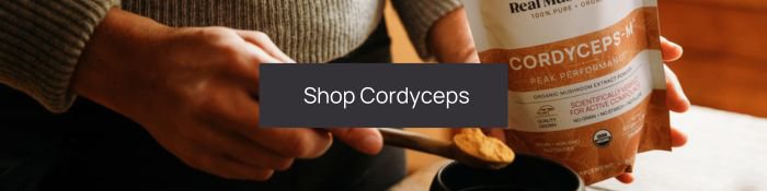 shop cordyceps mushroom