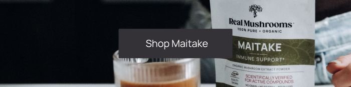 shop maitake powder