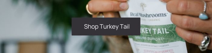 shop turkey tail mushroom