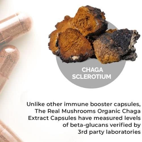 Chaga Capsules Beta-Glucans