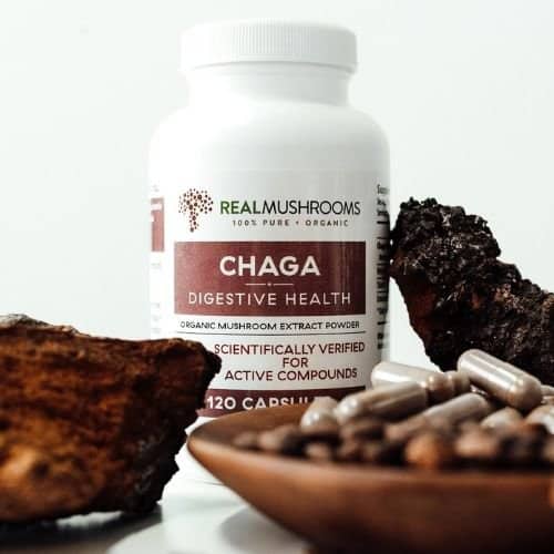 Chaga powder supplement