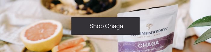 shop chaga mushroom