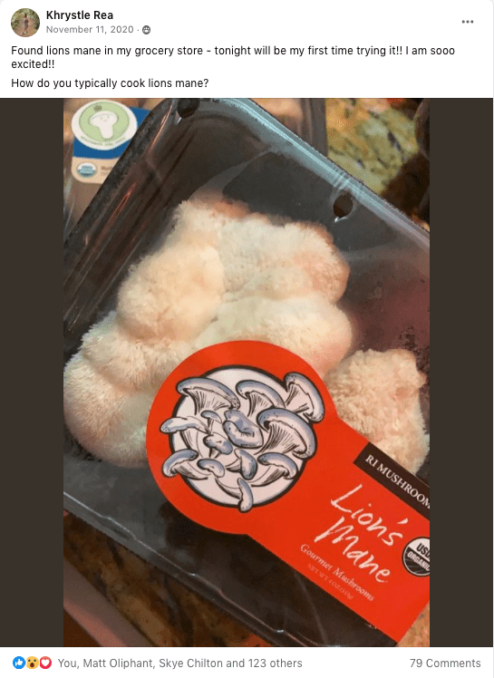 Buying Fresh Lion's Mane Mushroom