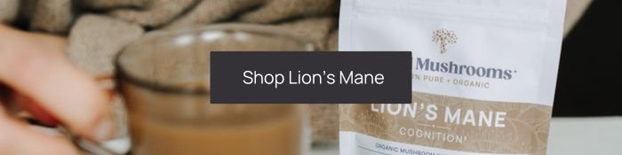 shop lion's mane mushroom
