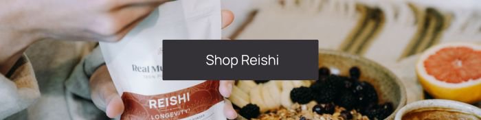 shop reishi mushroom