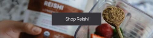 Hand holding a package labeled "Best Reishi Mushroom Supplement" with a spoonful of brown powder above a bowl of fruits, accompanied by a clickable "shop reishi" button overlay.