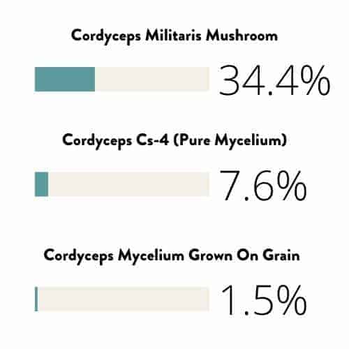 mushroom versus mycelium