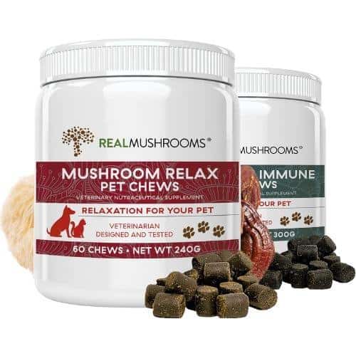 Mushroom chews for dogs