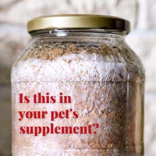Mycelium in supplements