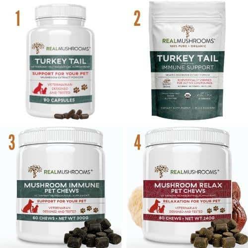 Turkey tail mushroom products for pets