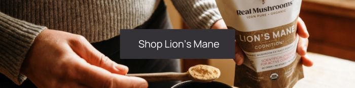 shop lion's mane mushroom