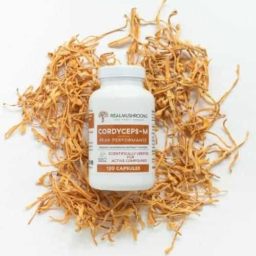 Cordyceps supplements by Real Mushrooms