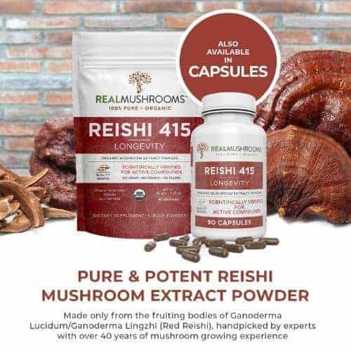 Reishi mushroom extract powder