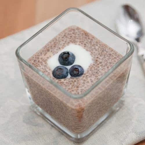 Chia seed pudding recipe with reishi powder