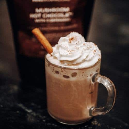 Functional mushroom hot chocolate mix