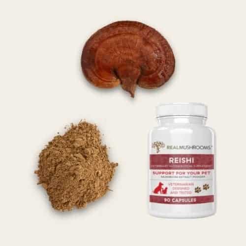 Best reishi mushroom supplements for pets