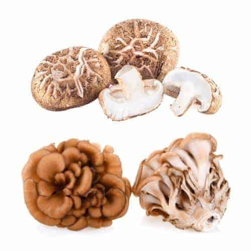 Functional mushrooms - shiitake maitake