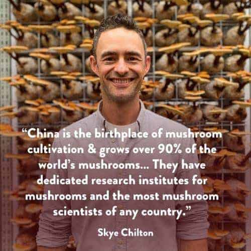 The mushroom business uses organic farms in China