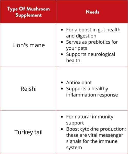 Table - best mushroom supplement for pets by benefit