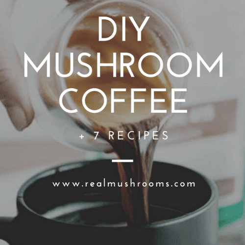 DIY mushroom coffee recipes