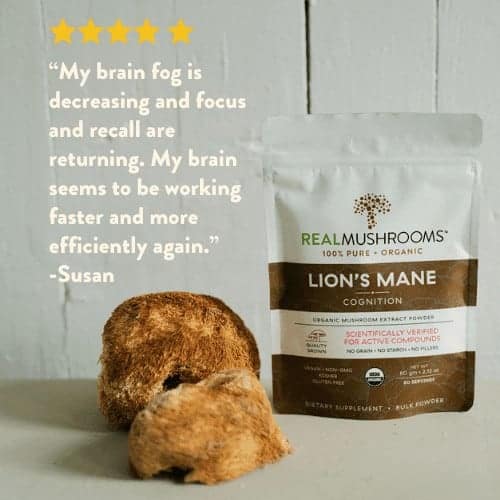 lion's mane mushroom supplement for focus