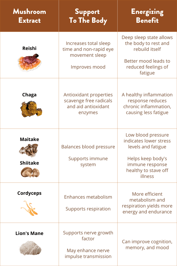 Mushroom coffee benefits table by type