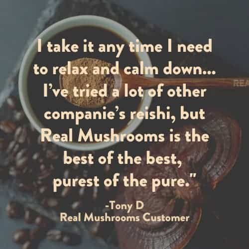 Reishi coffee review