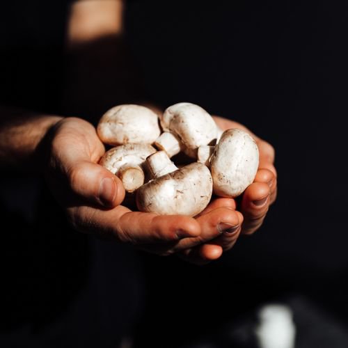 man holding a handful of button mushrooms