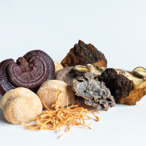 various functional mushrooms, perfect for keto
