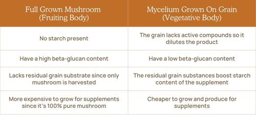 Table comparing oyster mushrooms to its poisonous lookalikes
