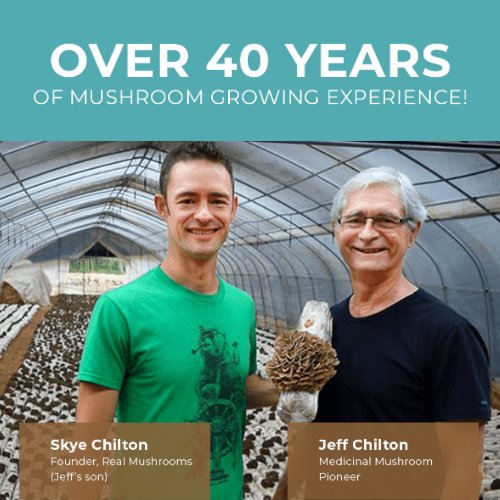 Founders of Real Mushrooms holding maitake