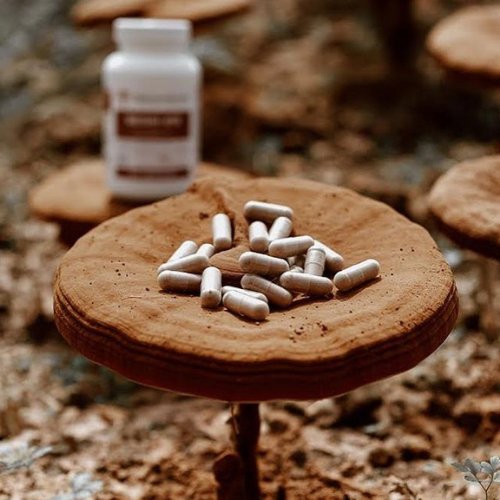 handful of pills on top of a reishi mushroom