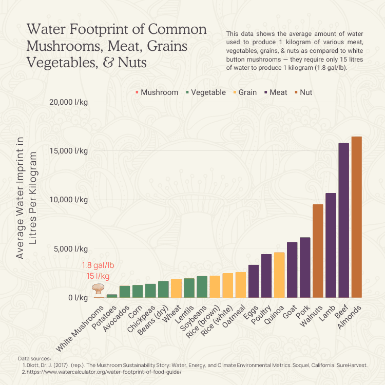 Table: Water footprint of growing mushrooms meat grains vegetables nuts