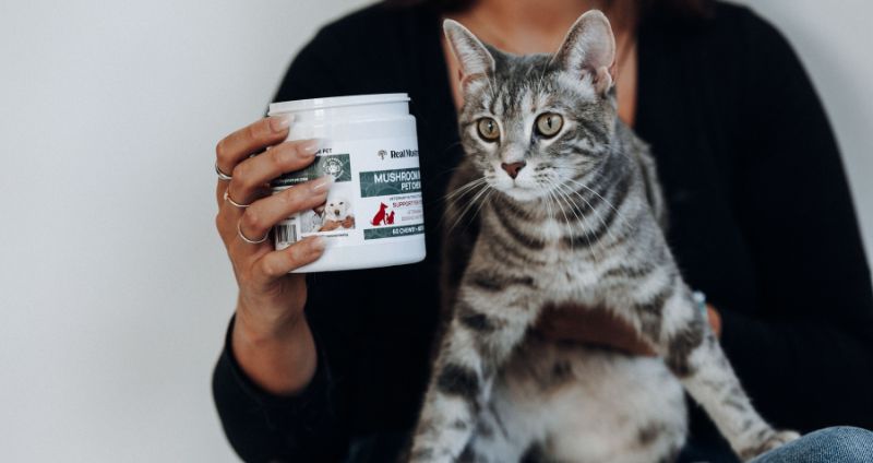 Person holding a jar of mushroom pet supplement while cradling a cat, wondering, "Can cats eat mushrooms?