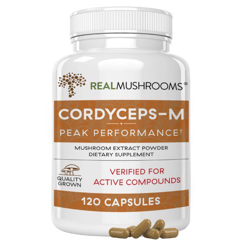 Organic Cordyceps Extract Capsules