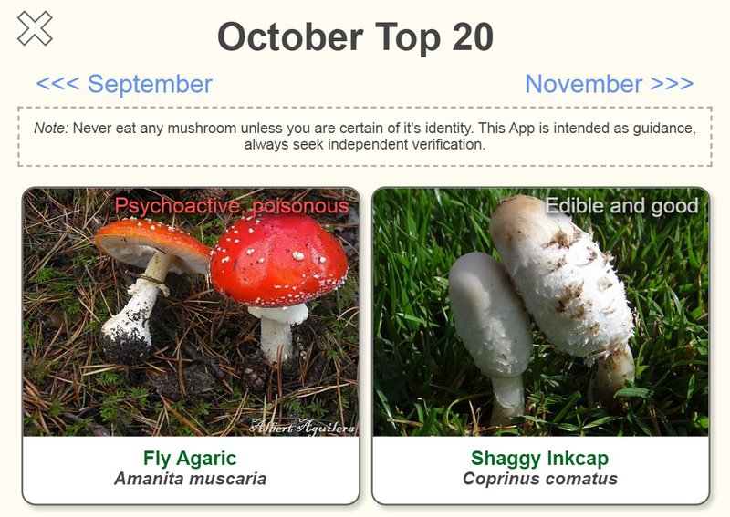 October selection of top species on Shroomify