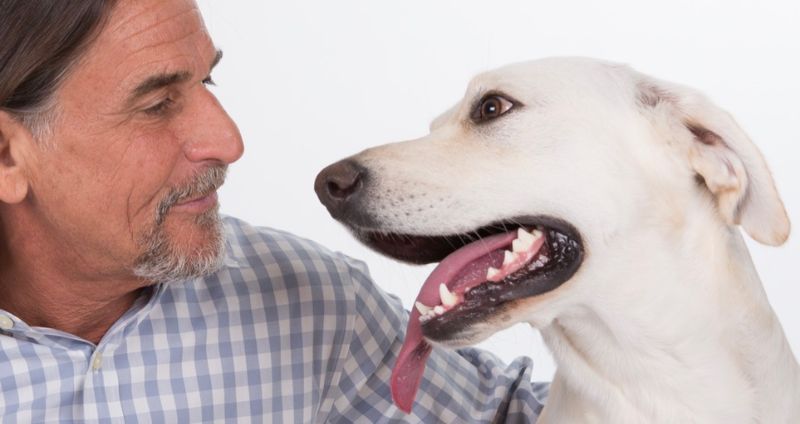 A man with gray hair and a beard in a checked shirt, reminiscent of Doc Rob, looks at a smiling white dog with its tongue hanging out.