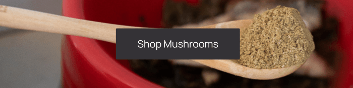 Spoon with brown mushroom powder