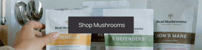 Bags of mushroom extracts powders by Real Mushrooms