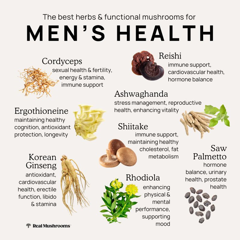 best herbs & functional mushrooms for men's health