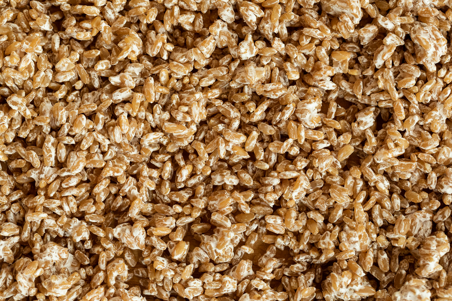 Close-up image of unprocessed, whole grain wheat berries with a natural brown color and a slightly shiny appearance.