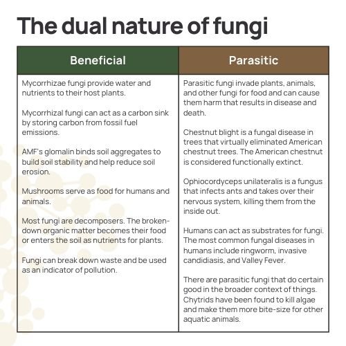 the dual nature of fungi table