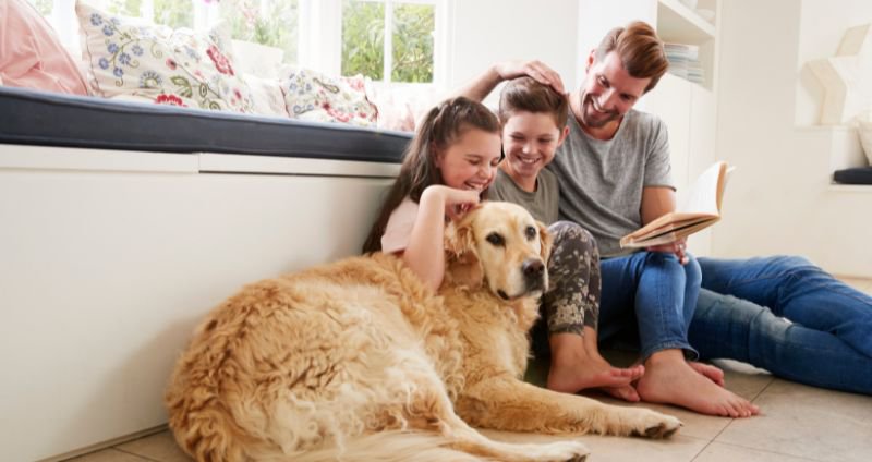 Mushrooms for Whole-Family Health: A Supplement Primer for Pet Parents cover