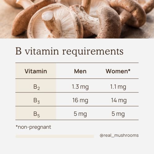 b vitamin requirements for adults